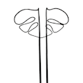 Miniatyrbild 1 av 5: Monstera-formad växtstöd Återanvändbart Robust Legering Växtstjälksstöd Hållare Växtbevarande Stöd Kryddväxter Grönsaker B