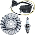 Miniatyrbillede 2 af 4: Svinghjul Tændspole Kit Med Tændrør Til Stihl Ms251 Ms 251c Erstatning 1143 400 1203