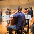 Miniatyrbilde 3 av 5: Musikkmappe for noteark i A4-størrelse, hyllelagring med 30 lommer, plastmappe for konsertkor - Yvan