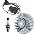 Miniatyrbillede 4 af 4: Svinghjul Tændspole Kit Med Tændrør Til Stihl Ms251 Ms 251c Erstatning 1143 400 1203