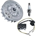 Miniatyrbild 3 av 4: Svänghjul Tändspole Kit Med Tändstift Kompatibel Med Stihl Ms231 Ms251 Ms 231c Ms 251c Ersätt 11434001307 1143 400 1203 -cdsx