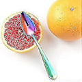 Miniatyrbillede 3 af 3: Grapefrugtskeer i rustfrit stål til citrusfrugter, Rainbow Magic Mirror