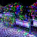 Miniatyrbilde 5 av 5: Julelysnett med LED, 3 x 2m Koblebare Mesh-lys, Juledekorasjoner for Innendørs Utendørs Busk Hage Dekor