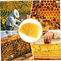 Miniatyrbillede 5 af 5: Bivoksplader Bivoksfundamentplader Voksfundament til bierammer Naturlige honeycomb-plader Bier