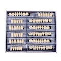 Miniatyrbild 1 av 5: 84 stycken A3 Syntetiska Polymertänder Fullt Set Harts Protes Tänder Material
