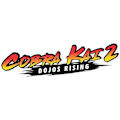 Pikkukuva 6 / 6: Cobra Kai 2 Dojos Rising Switch -peli