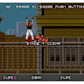 Miniatyrbild 6 av 6: Evercade Data East Arcade Collection 1 - Evercade Arcade N ° 2 patron