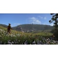 Miniatyrbillede 5 af 6: Kingdom Come Deliverance - Royal Edition - Game Of The Year Jeu PS4