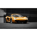 Pikkukuva 5 / 6: Assetto Corsa: Ultimate Edition PS4 -peli