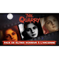 Pikkukuva 6 / 6: The Quarry PS4 peli Blå