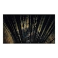 Pikkukuva 1 / 4: Dark Souls II: Scholar of the First Sin PlayStation 3