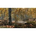 Miniatyrbillede 5 af 6: The Elder Scrolls V: Skyrim • Nintendo Switch-spil