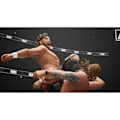 Pikkukuva 5 / 6: AEW All Elite Wrestling Fight Forever Playstation 4 -peli Blå