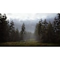 Miniatyrbillede 2 af 4: Hunting Simulator 2 PS4 spil Vit