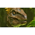 Miniatyrbillede 5 af 6: ARK Survival Ascended – PS5-spil