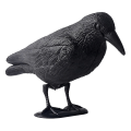 Miniatyrbild 1 av 3: Som stöter bort småfåglar och duvor skrämmer bort fåglar, djuravskräckande