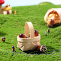 Miniatyrbild 4 av 4: 12 st Strumpstoppare Ebt Mini vävd korg Mini fliskorg Fruktkorg Tiny flätad korghandtag 6X5CM
