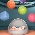 Miniatyrbillede 3 af 5: Børns tekstureret PVC-bold, 6 stykker, legetøj til babysanser, træning og massage