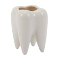Miniatyrbillede 1 af 5: Tandform Hvid Keramisk urtepotte Moderne Design Plantetænder Model Mini Desktop Pot Creative Gi