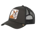 Miniatyrbillede 5 af 5: Wolf Mesh Cap Animal Farm Trucker Baseball Cap Far Hat Snapback White Swan Outdoor Beast Paradise Tucan Caps Crocodile