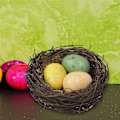Miniatyrbillede 2 af 5: Gør-det-selv-håndværk Redning Kunstig Svamp Fugle Materiale Pakke Kiteaster Gave, kunstig Fugle Redning