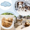 Miniatyrbild 4 av 5: Kylmatta för hund - Mjuk söt 3D katt kylmatta - Bärbar inomhus utomhus husdjurstillbehör, sovkorgmatta för små medelstora hundhus
