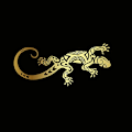 Pikkukuva 3 / 5: Moottoripyörän tarrat Hauskat Matelijan Lizard Decor Autotarrat Moto Auto Tarrat Hauskat Jdm Vinyyli Auton Styling|Tarrat &amp; Tarrat| Laser
