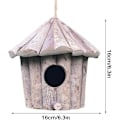 Miniatyrbild 4 av 5: Fågelbo Trädgård, 4x4x10 tum Naturlig torkad Hibiscus Trädgård Överlämning Fågelbo, hållbart handgjort bo Hängande gräs Äggbur Dekorativ vävd hängande P