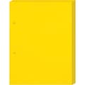 Insect Trap for Garden - 60 pack XL 1092 XL