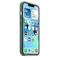 Pikkukuva 3 / 3: Case Magsafella Iphone 13 phone case Eucalyptus
