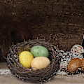 Miniatyrbillede 1 af 5: Gør-det-selv-håndværk Redning Kunstig Svamp Fugle Materiale Pakke Kiteaster Gave, kunstig Fugle Redning