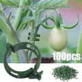 100 st växtstödklämmor Tomatbindningar Snöre Vinrankor Spaljéburar Klätterväxter Grönsaker 2,5 cm