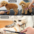 Miniatyrbild 2 av 4: Favson Pet Grooming Sax Set Rund Spets, Pet Trimmer Kit - Effiling Sax, Böjd Sax, Comb Läder Box