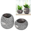 Miniatyrbilde 1 av 5: 2 stk Blomsterpot Glidelås Tann Form Harpiks Dekorativ Praktisk Enkel Stil Ansikt Bonsai Potter for Balkong Skrivebord