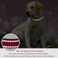 Miniatyrbillede 4 af 8: Reflekterende Hundehalsbånd med Spænde Justerbar Sikkerhed Nylon Halsbånd til Små Mellemstore Store Hunde, Pink M Hotpink M