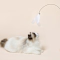 Miniatyrbild 5 av 7: Katt Leksak Interaktiv Fjäder Leksak Stång Katt Leksak för Uttråkade Inomhus Katter Jaga och Träna Blue