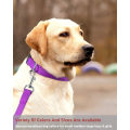 Miniatyrbillede 7 af 8: Reflekterende Hundehalsbånd med Spænde Justerbar Sikkerhed Nylon Halsbånd til Små Mellemstore Store Hunde, Lilla XL Purple XL