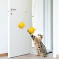 Miniatyrbild 4 av 6: Hängande dörr interaktiv katt leksak filt kyckling form justerbar rolig katt retas leksak för hemmet