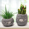Miniatyrbilde 3 av 5: 2 stk Blomsterpot Glidelås Tann Form Harpiks Dekorativ Praktisk Enkel Stil Ansikt Bonsai Potter for Balkong Skrivebord