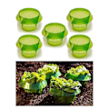 Miniatyrbillede 4 af 5: 10 stk. Beskyttelse Grøntsager Beskyttelse Plante Snegl Krave Beskyttelse Have -AD11--O-