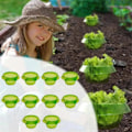 Miniatyrbillede 2 af 5: 10 stk. Beskyttelse Grøntsager Beskyttelse Plante Snegl Krave Beskyttelse Have -AD11--O-