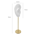 Miniatyrbild 2 av 5: 1/2/3 Örhänge Display Stand Human Ear Model Stud Holder Showcase Right Translucent Height: 18cm 1Set
