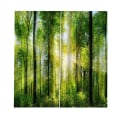 Miniatyrbild 4 av 5: 1/2 Digital Printing 3D Gardindraperier för vardagsrummet i sovrummet Sunshine Forest 1Set