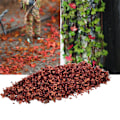 Miniatyrbild 2 av 5: 1/2/3/5 Miniature Cluster För Grass Grass Tufts Scenery Model brown 110ml 1Set