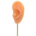 Miniatyrbild 5 av 5: 1/2/3 Örhänge Display Stand Human Ear Model Stud Holder Showcase Left Normal Skin Height: 18cm 1Set
