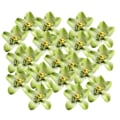 Miniatyrbild 4 av 5: 1/2/3 20 st konstgjorda sidenorkidéblomhuvuden för DIY-bröllop Green 1Set