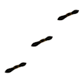 Miniatyrbild 5 av 5: 2/3/5 Läderhorn Toggle Buttons Trench Duffle Coat Fästelement black 3Set