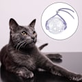 Miniatyrbild 4 av 5: 1/2 set Mesh andningsbart kattmunkorg Bekväm säkerhet purple M 1 Pc