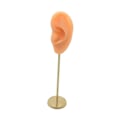 Miniatyrbild 2 av 5: 1/2/3 Örhänge Display Stand Human Ear Model Stud Holder Showcase Left Normal Skin Height: 18cm 1Set