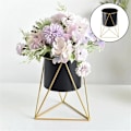 Miniatyrbild 4 av 5: Blomkruka i metall Suckulent Krukväxtställ Nordic Style Black S